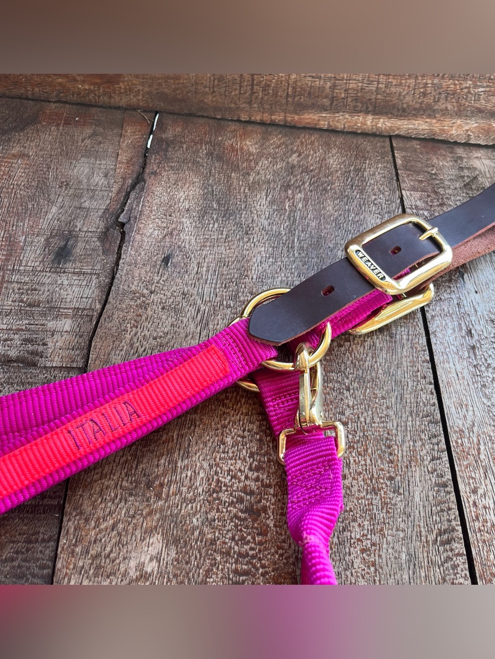 Weaver Pink Horse Halter  - ITALIA- Personalized  Adjustable Average 1” NWOT